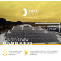 Bonobo Energy